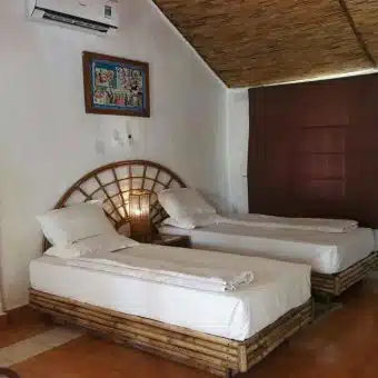 Safari Narayani