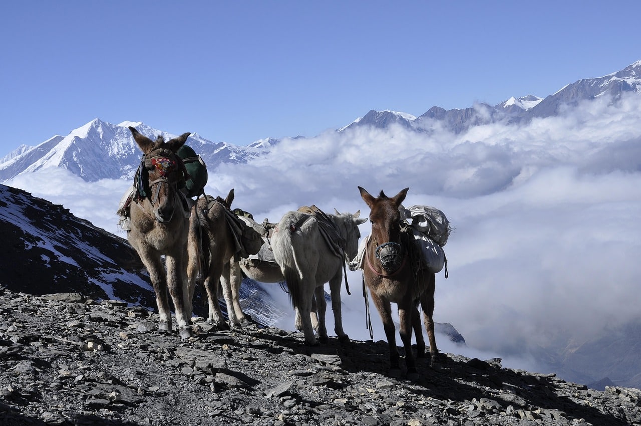 Grand Trek du Kanchenjunga – Image 2